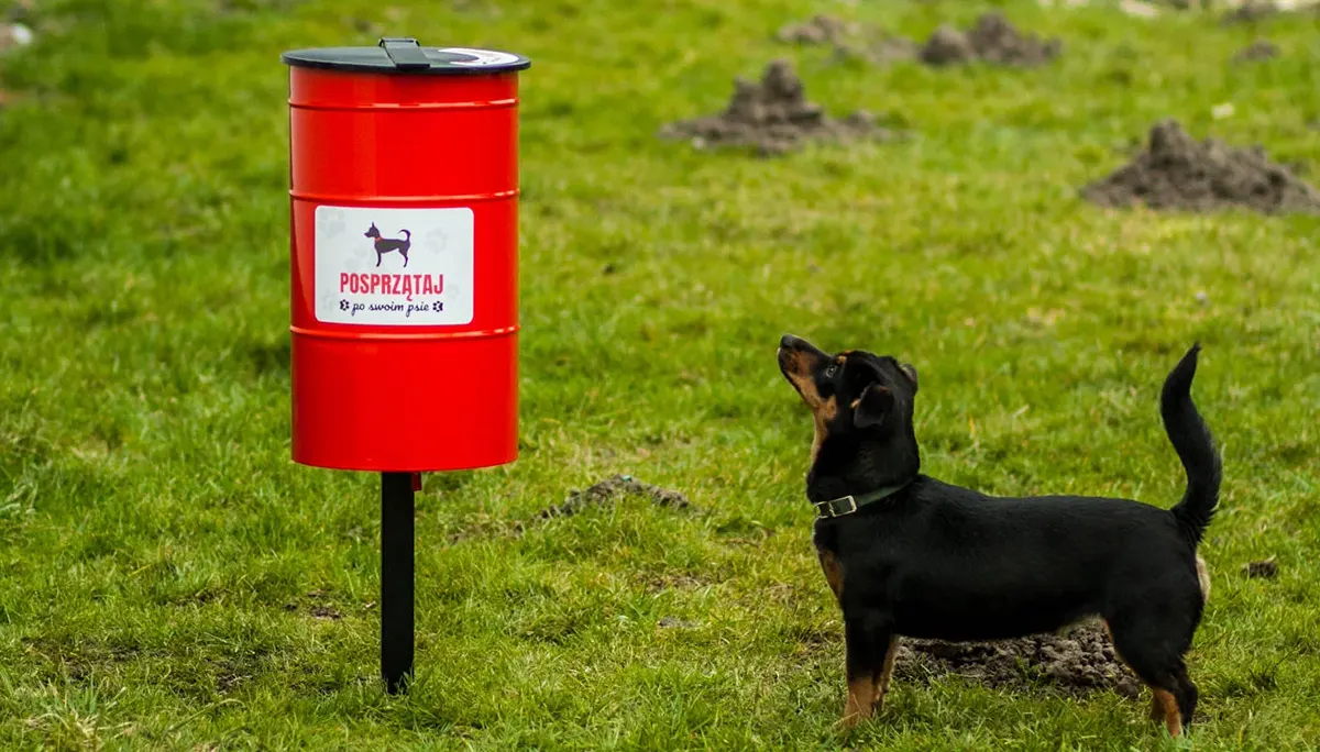 Štvornohí priatelia