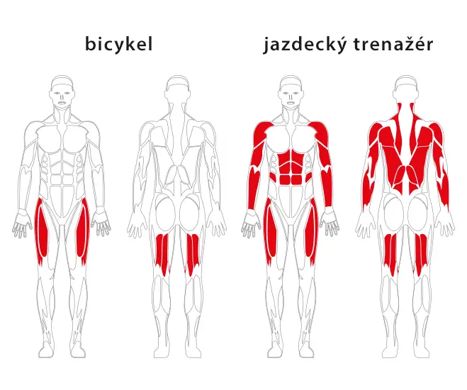 Cyklotrenažér a jazdecký trenažér JW 09 – JW 10