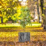 Květináč Neapol 80L