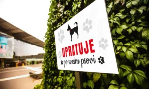 Informačná tabuľka - veľká