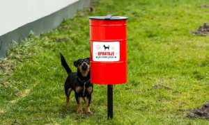 Kôš na psie exkrementy Tobi