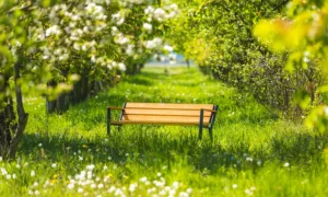 Lavička Gladiator BIS s drevenou lakťovou opierkou