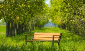 Lavička Gladiator BIS s drevenou lakťovou opierkou