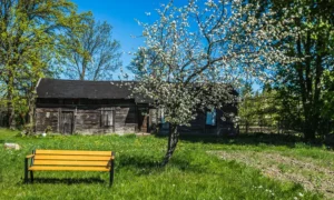 Lavička Gladiator BIS s drevenou lakťovou opierkou