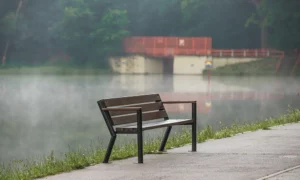 Lavička Gladiator BIS s drevenou lakťovou opierkou