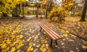 Lavička Gladiator bez operadla