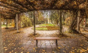 Lavička Gladiator bez operadla