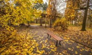 Lavička Gladiator bez operadla