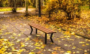 Lavička Gladiator bez operadla