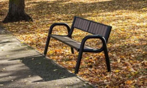 Lavička Spartan WPC