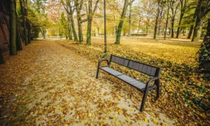 Lavička Spartan WPC