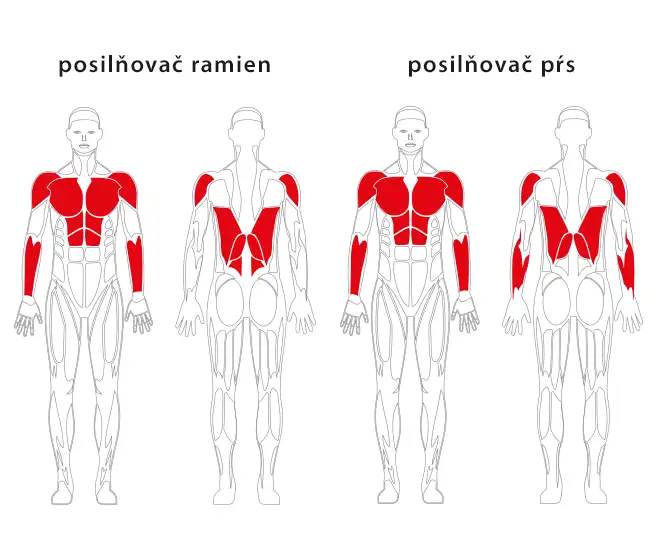 Posilňovač ramien a prsú JW 01 – JW 02