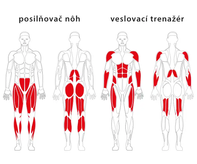 Veslovací trenažér a posilňovač nôh JW 07 – JW 08