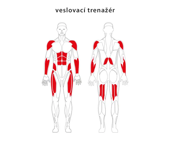 Veslovací trenažér JW 13