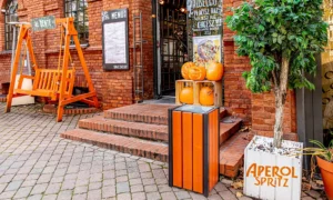 Odpadkový kôš Aster Bis