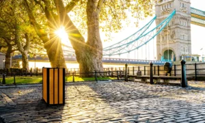 Odpadkový kôš Aster Bis