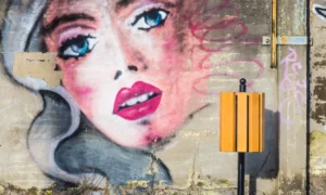 Odpadkový kôš Ženeva