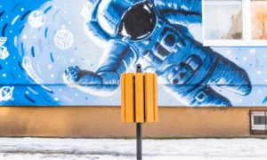 Odpadkový kôš Ženeva