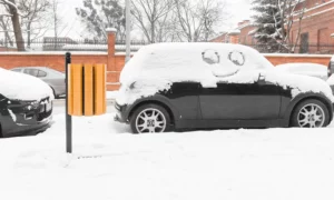 Odpadkový kôš Ženeva