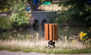 Odpadkový kôš Praha