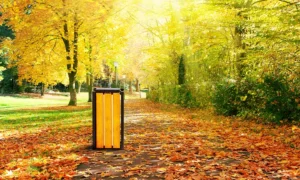 Odpadkový kôš Singiel Bis