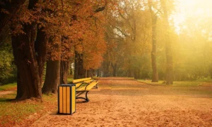 Odpadkový kôš Singiel Bis