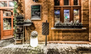 Odpadkový kôš Sofia BIS